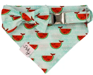 Happy Watermelon Fish Collar   Slip-on Bandana   Bow (Set of 3)